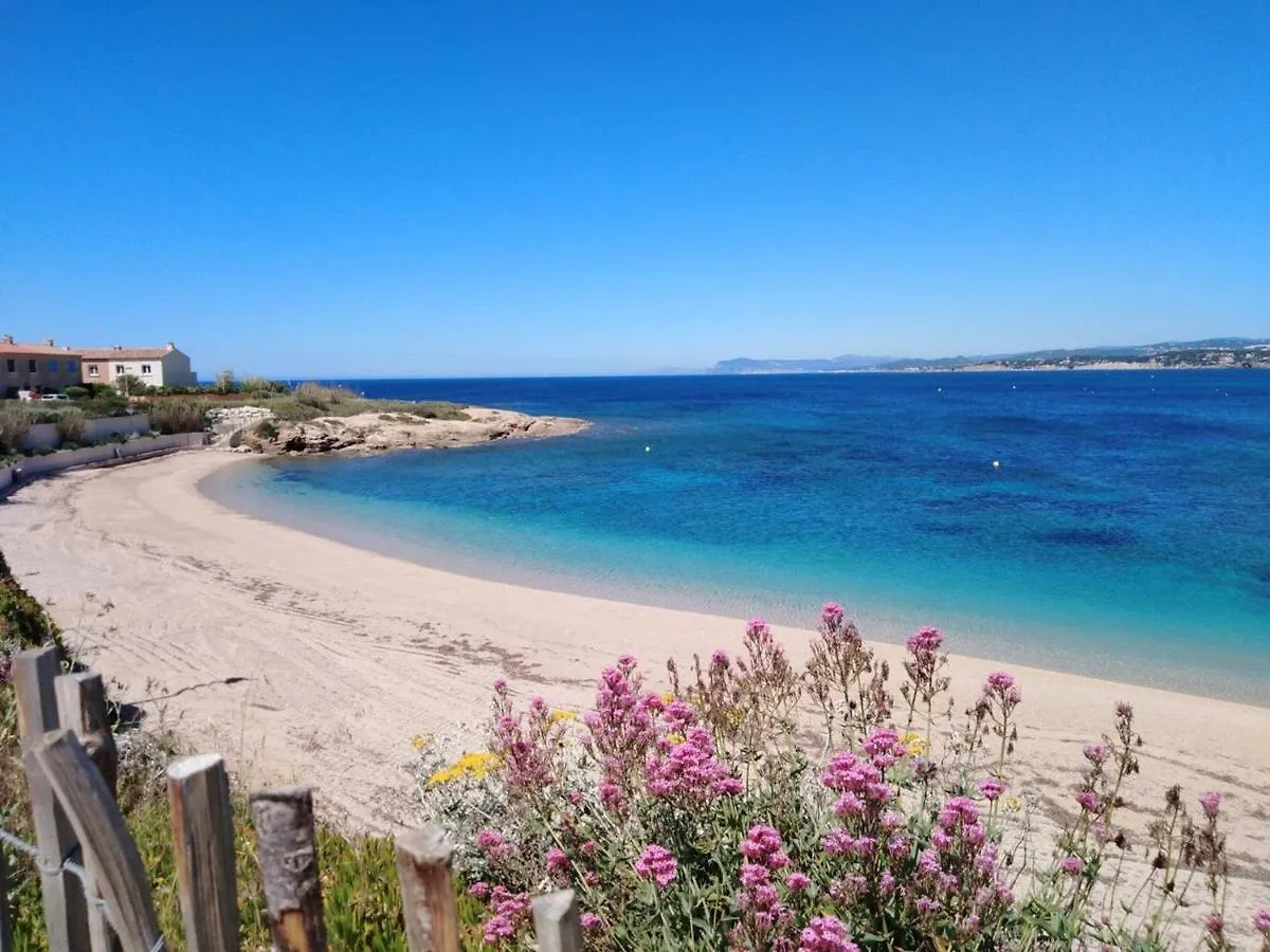 T3 Climatise Avec Wi-Fi Et Parking Prive - A 200 M De La Plage - Fr-1-316-316 Six-Fours-les-Plages 0*,  France